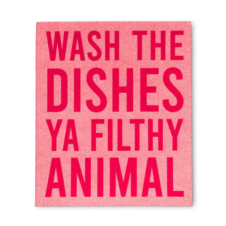 Funny Text Amazing Swedish Dishcloths