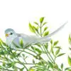 greyish blue elegant bird clip