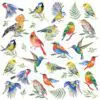 "Birds Votes" Luxury Luncheon Napkin