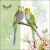 "Budgies" Green Background Luxury Luncheon Napkin