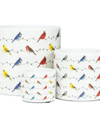 Multi-bird planter large 16.5 cm (6.5") diameter