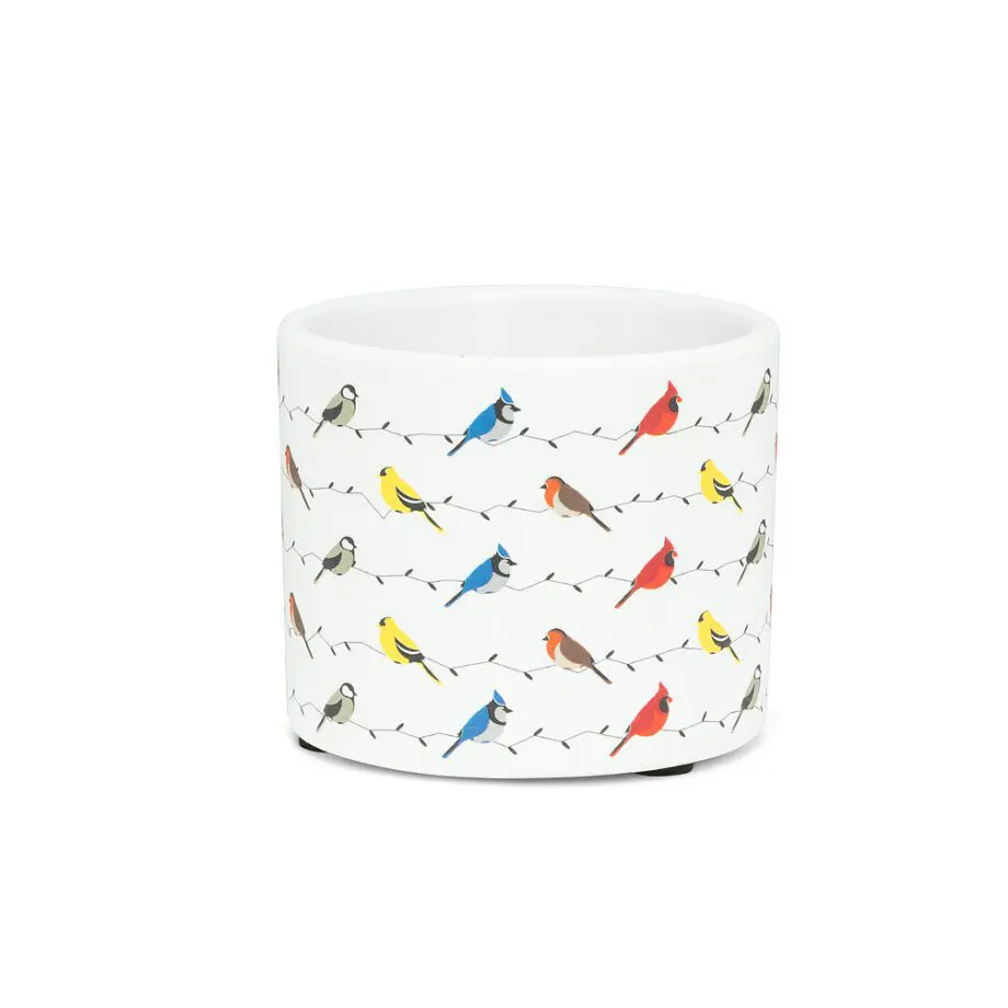 Multi-bird planter extra small 7.5 cm (3") diameter