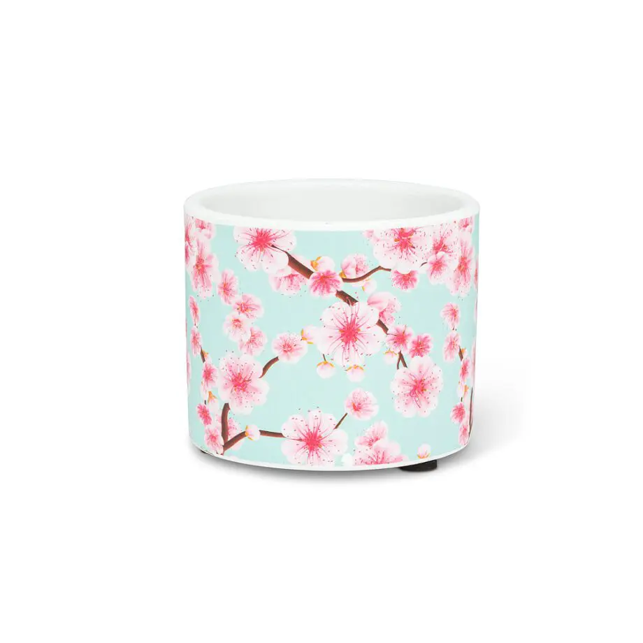 Cherry Blossom planter extra small 7.5 cm (3") diameter