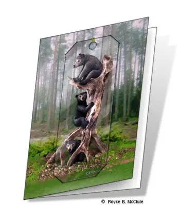 Black Bears 3D Gift Card