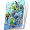 Budgies 3D Gift Card