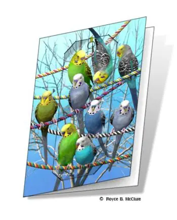 Budgies 3D Gift Card