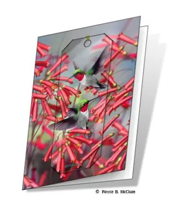 Hummingbirds 3D Gift Card