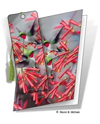 Hummingbirds 3D Gift Card