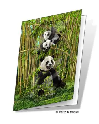 Panda Family 3D Gift Card