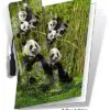 Panda Family 3D Gift Card