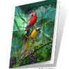 Scarlet & Blue Macaws 3D Gift Card