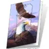 Eagles 3D Gift Card