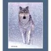 Snow Wolf mini-poster