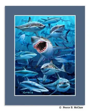 Sharks Mini-poster