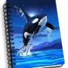 Leaping Orca (Killer Whale)