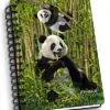 Pandas Notebook