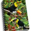 Toucan Notebook