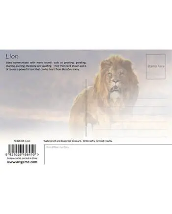 Lion 3D Postcard