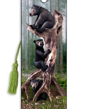 Black Bears bookmark