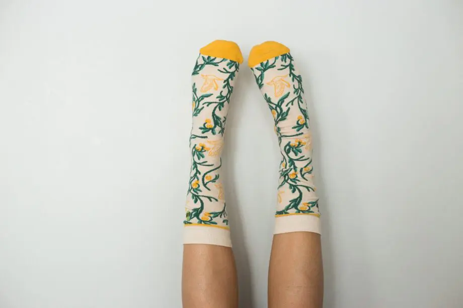 "Tell the Birds" Unisex Novelty Crew Socks by Woven Pear