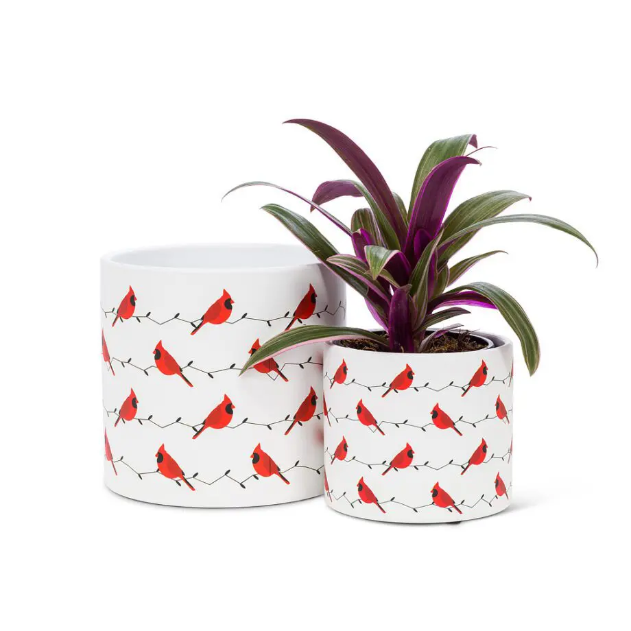 Allover Cardinal Planter