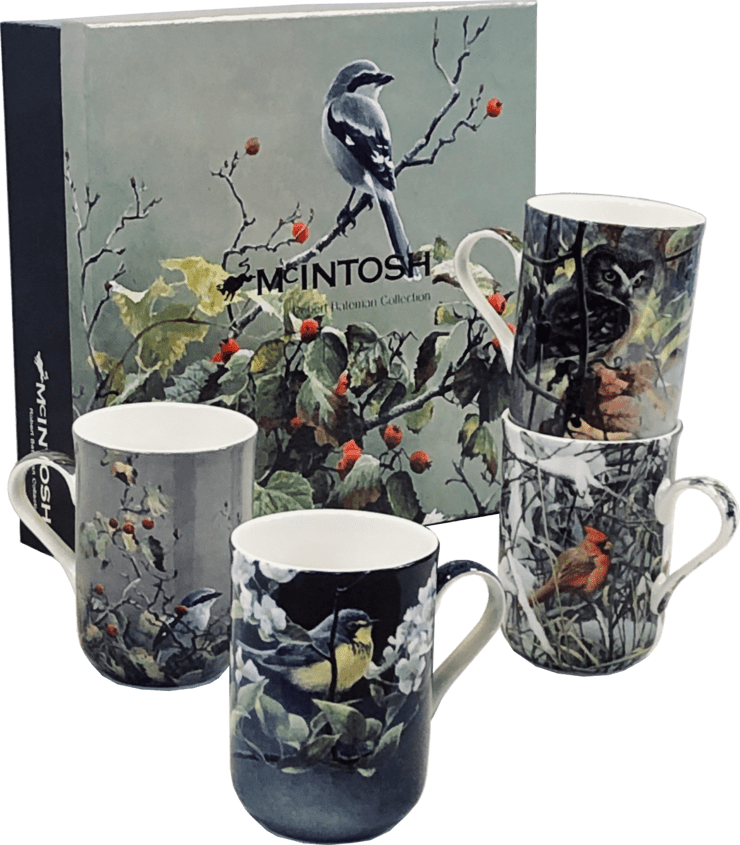 Bateman Birds Set of 4 mugs