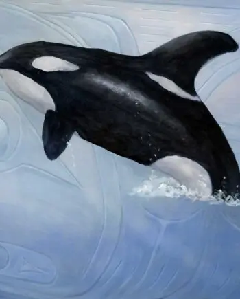 "A Sterling Breach" (Killer Whale) Magnets by Artist Jean Taylor