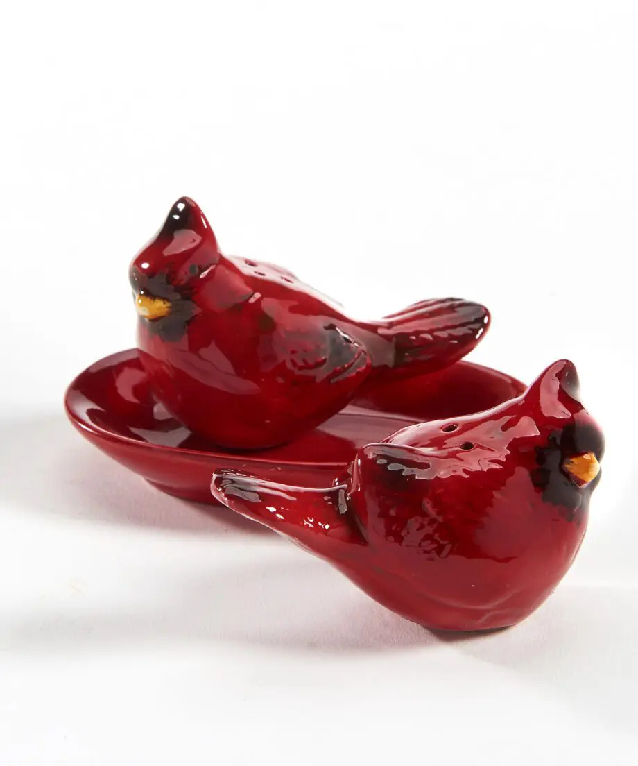 Ceramic Cardinal Salt & Pepper Shakers with Plate