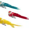 3.25" Mini Longtail Birds with Gator Clip - Set of 3