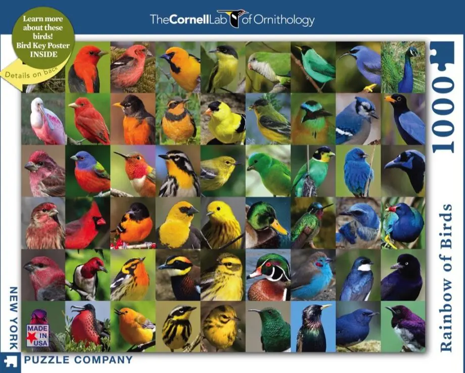 Rainbow of Birds 1000 Piece Jigsaw Puzzle