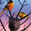 Baltimore Orioles 1000 Piece Jigsaw Puzzle