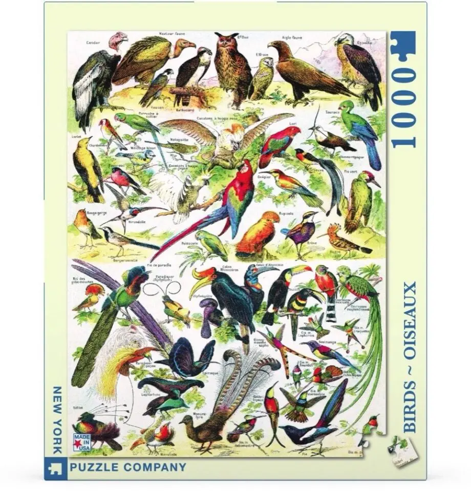 "Birds - Oiseaux" 1000 Piece Jigsaw Puzzle - Image 2