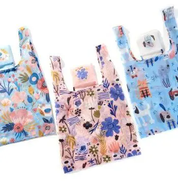 Cute Reusable Fold Away Shopping Tote Bag