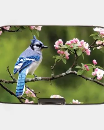 "Blue Jay" RFID Armor Wallet by Monarque