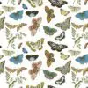 Butterflies and Moths Gift Wrap