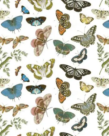 Butterflies and Moths Gift Wrap