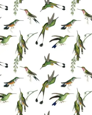 Hummingbirds Gift Wrap