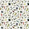 North American Songbirds Gift Wrap