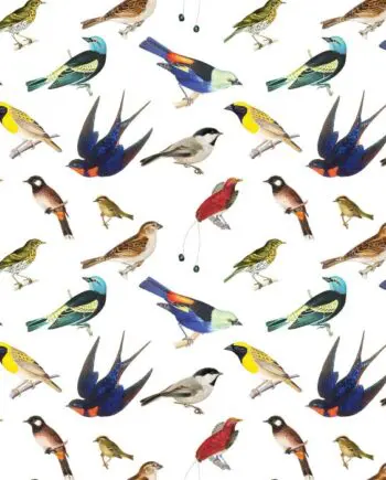 Songbirds Gift Wrap