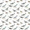 Shorebirds Gift Wrap