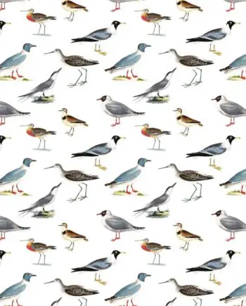 Shorebirds Gift Wrap