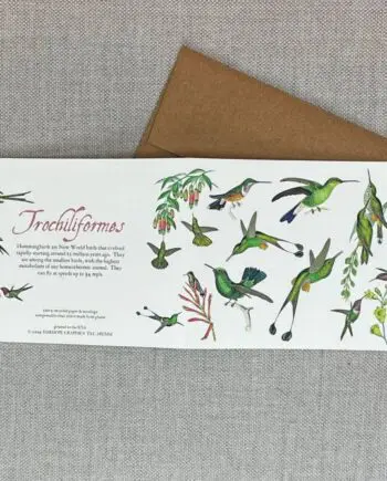 Hummingbirds Card