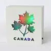 LED Canada & Maple Leaf