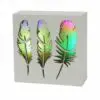 LED Feathers Light Box