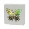 LED Butterfly Light Box