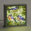 6"x6"x2" Bluebird Floral LED Light Box