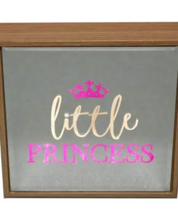 "Little Princess" LED Reflection Art