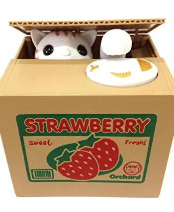 Cat Strawberry Box Piggy Bank