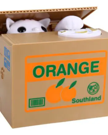 Cat Orange Box Piggy Bank