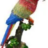 Macaw Parrot Jewelry Box Large